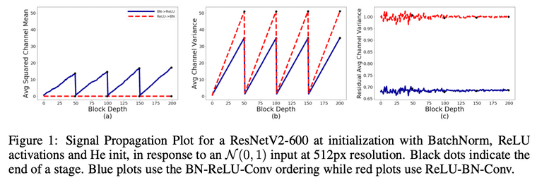 NF Net1